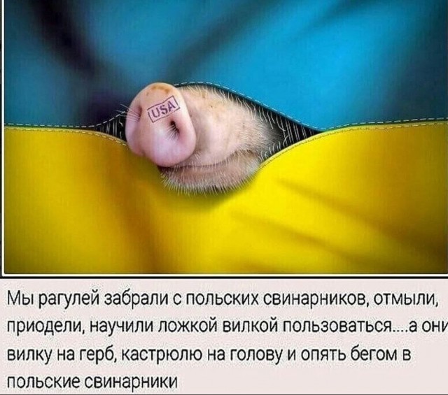 Непонятка для переможцев. Одна картинка.