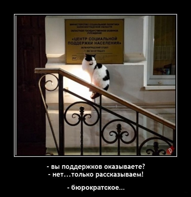 Немного картинок и прочей хреноты Vol. 12