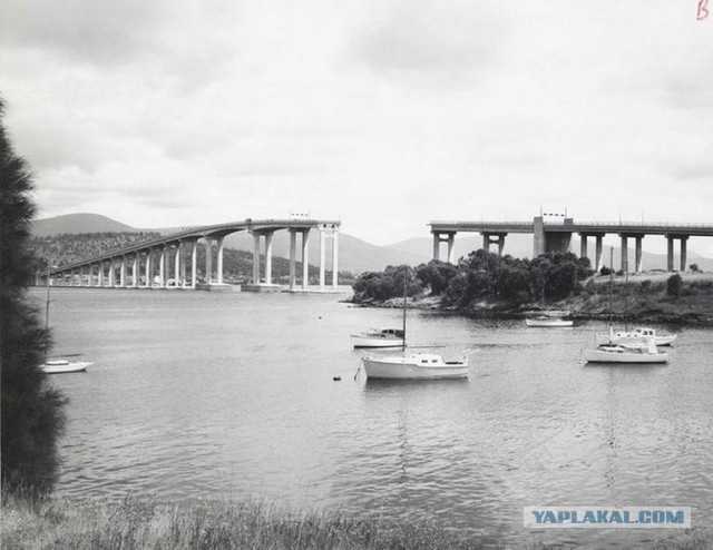 Столкновение сухогруза «Lake Illawarra» с мостом через реку Дэруэнт
