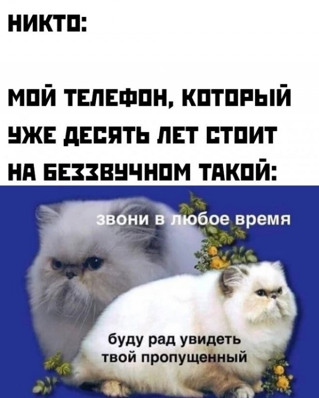 Немного картинок для настроения