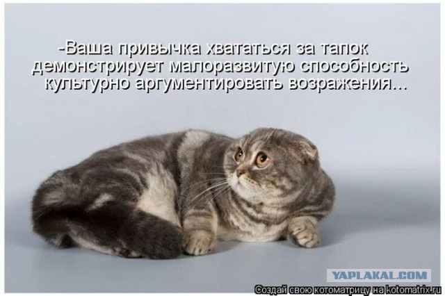 Они развиваются!