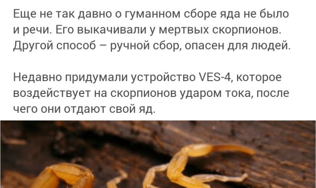 Десять самых дорогих жидкостей в мире