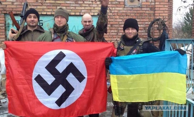 Осужденный за наркотики экс-депутат Денис Штейн погиб в СВО