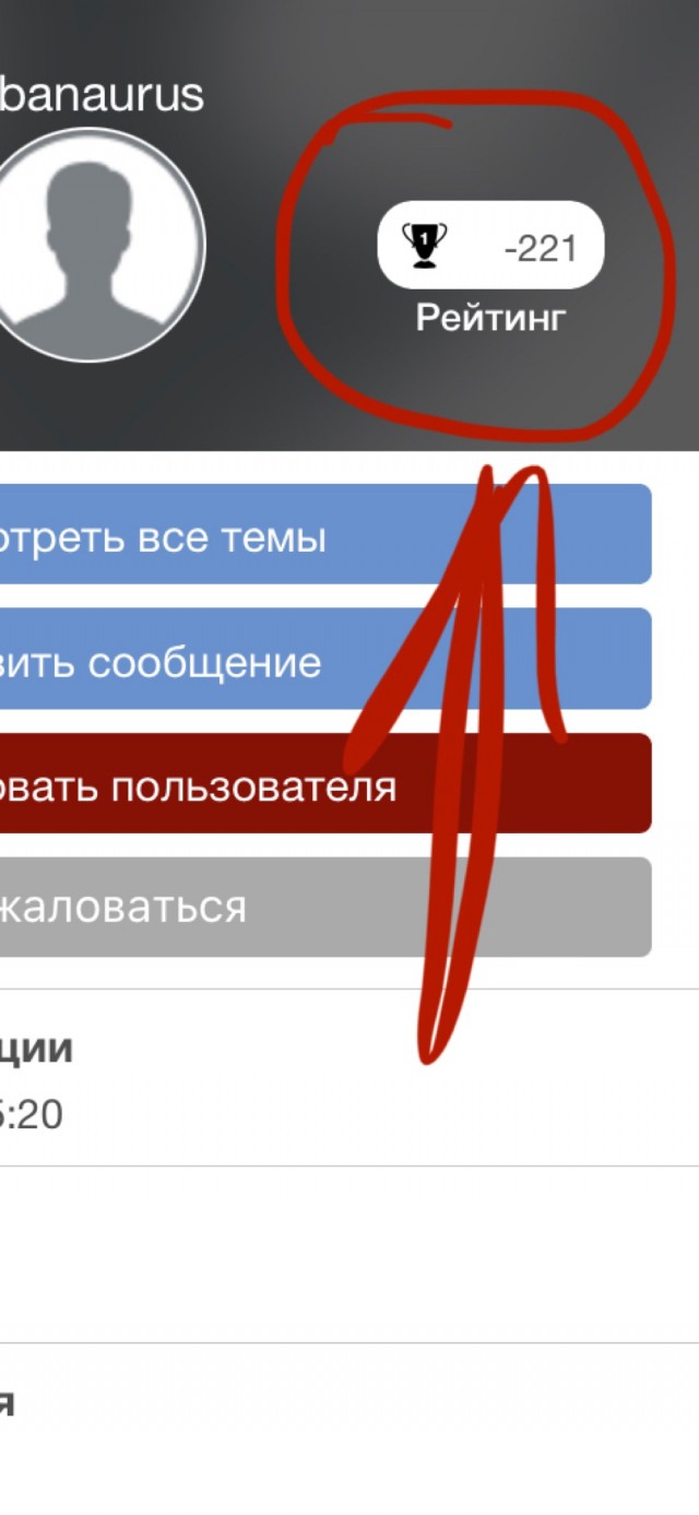 Гостья с Чернигова