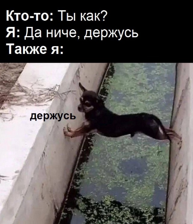 Нуштош 14.03.23