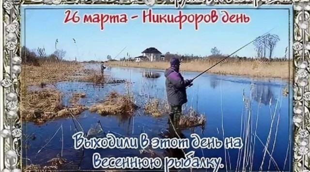 Победная поступь идиотизма по планете – том 11