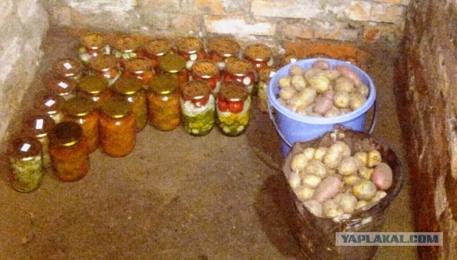 Лучшее средство от похмелья