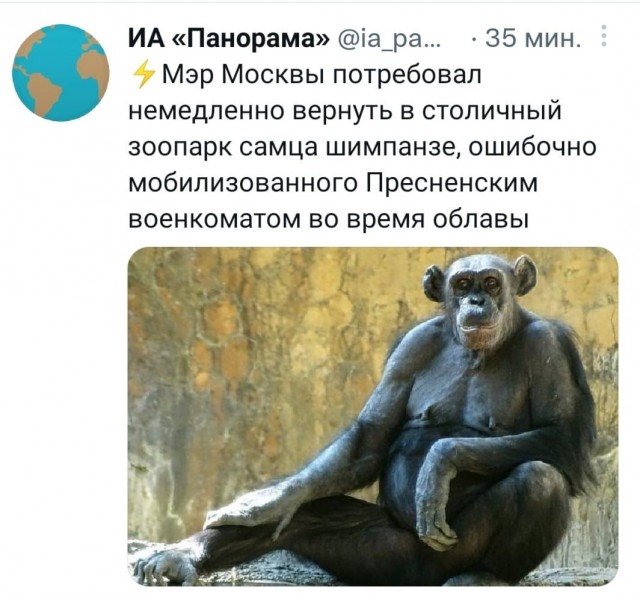 Председателя Международного уголовного суда избили украинские мигранты в Варшаве