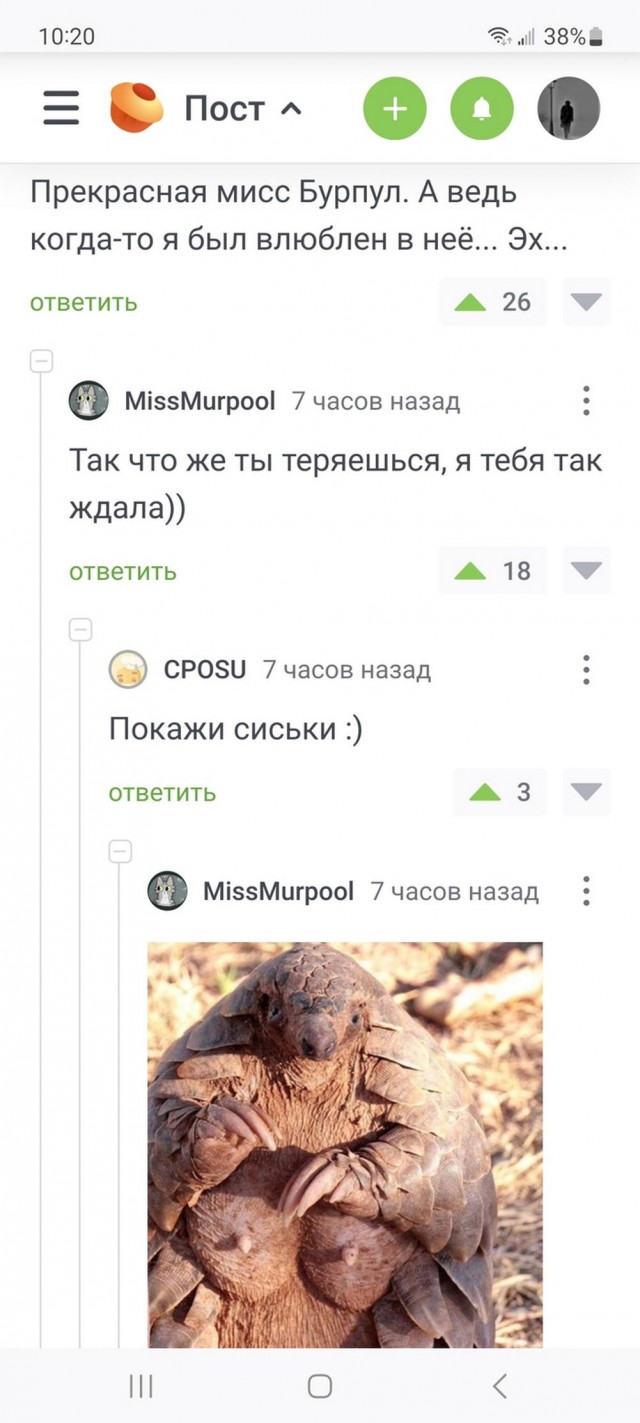 Нуштош 27.08.23