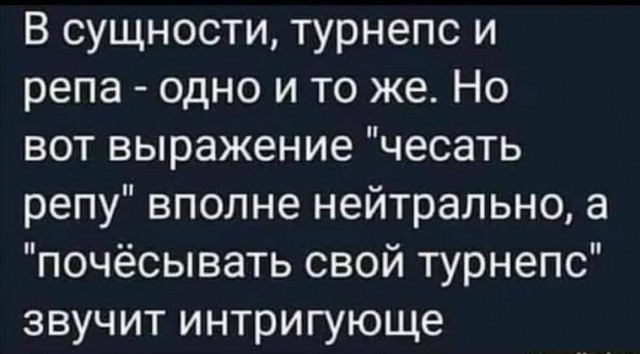 Весёлый полтишок 08.09.23