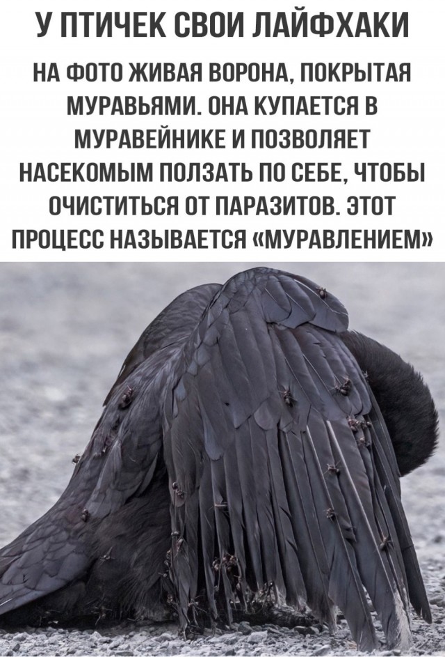 Всяко-разно