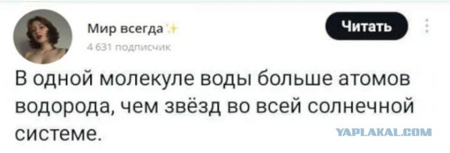 Когда не стесняешься собственной тупости