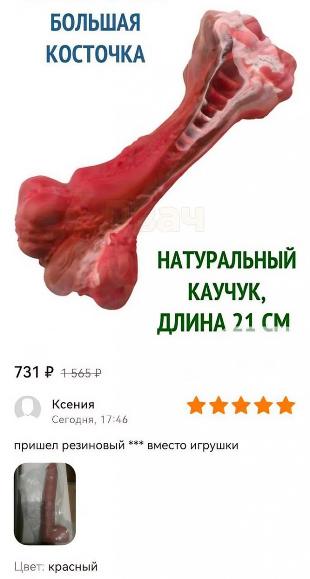 Картинок пост 1.11.2023