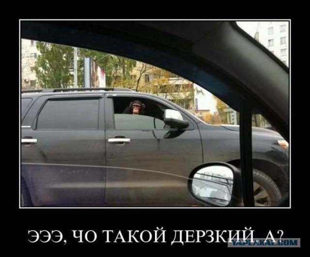 Все правильно сделали!
