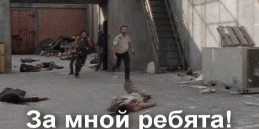 Кошатники, приготовьтесь: австралийские учёные выяснили, что наличие ваших пушистиков в доме увеличивает риск развития шизофрении.