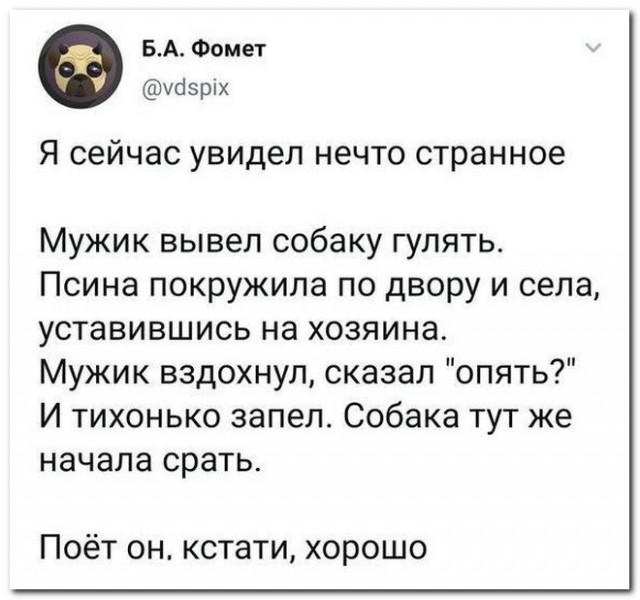 Забавные комментарии из социальных сетей (29.01.24)