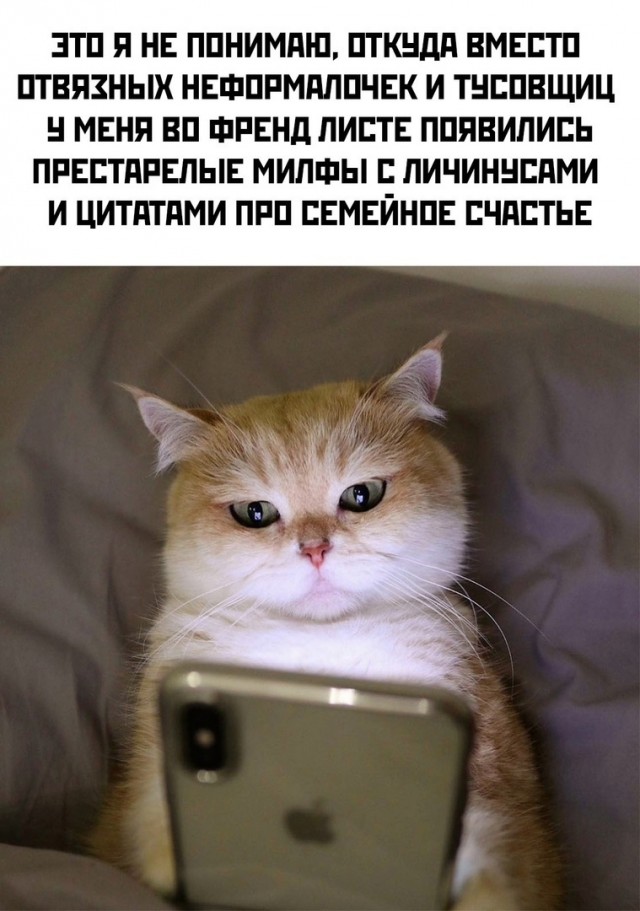 Тлидцать тли от 12 февлаля