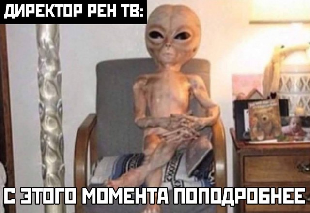 Ты обезьяна