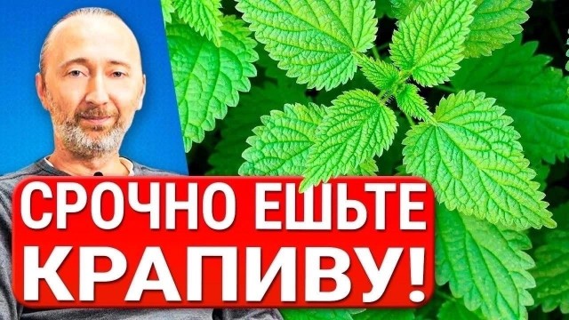 Так себе картинки 03.05.24