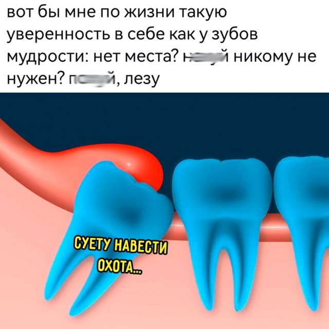 Весёлый полтишок 10.06.24