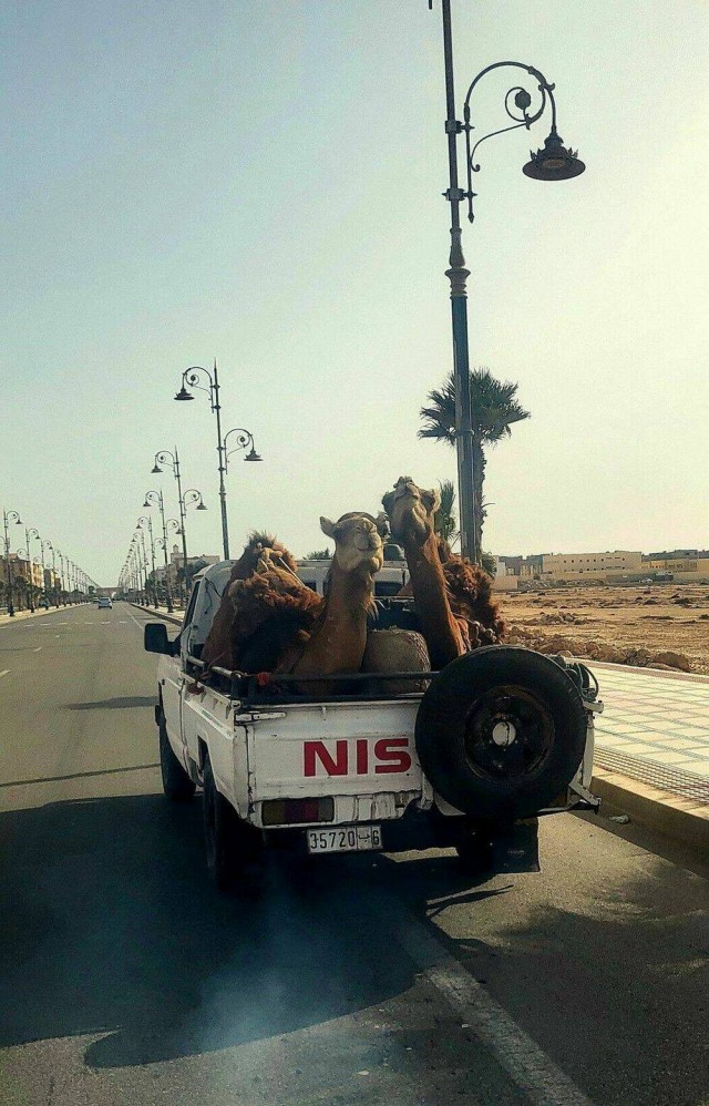 ФотоВинегрет