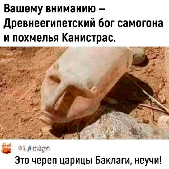 Весёлый полтишок 02.07.24