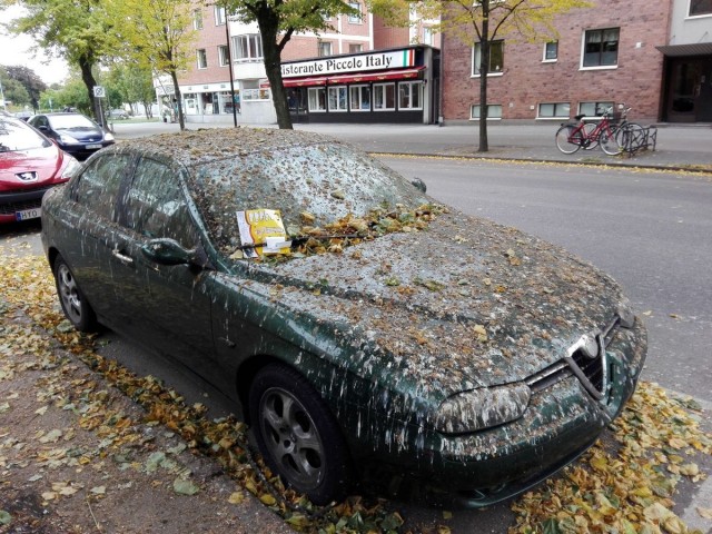 Мужик насрал в стакан, чтобы выиграть АВТОМОБИИИИИИЛЬ!