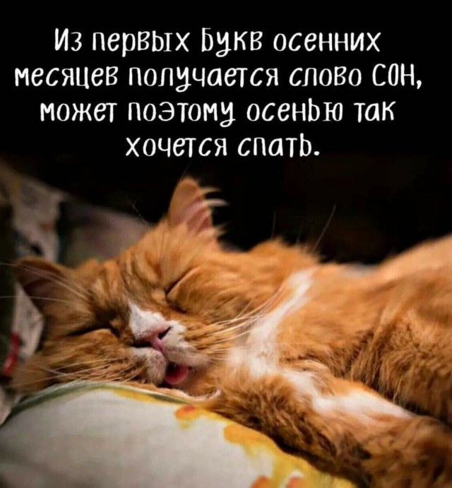 Нуштош 04.10.2024