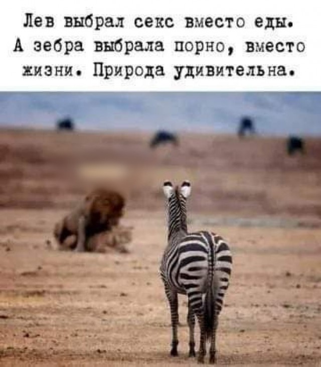 Пятачок, стреляй!