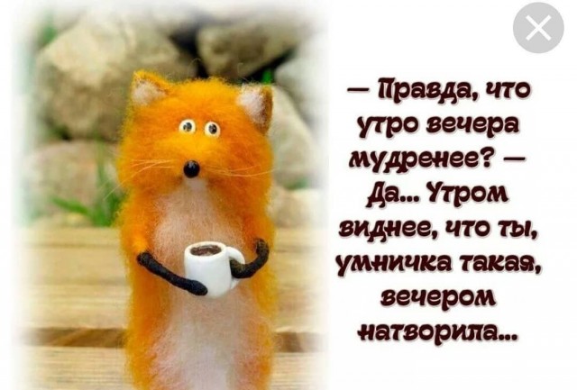 Лисухи и не лисухи