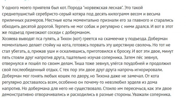 Так себе картинки 01.03.25