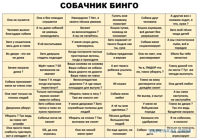 Краснодарский край не стал принимать закон, разрешающий умерщвлять бродячих собак⁠⁠