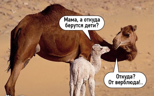 Маленькая пятница 4.06.25