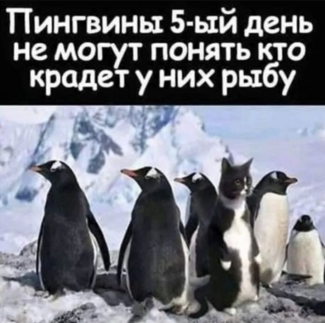 Завалялось тут случайно немного забавных картинок
