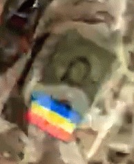 Народный контроль, проверка мигрантов! Дружинник силой задержал женщину в Одинцове
