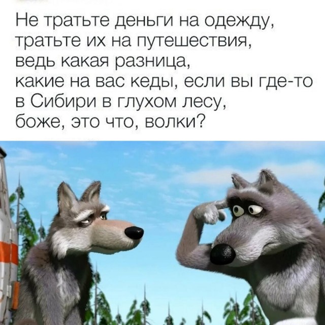 Весёлый полтишок 08.07.25