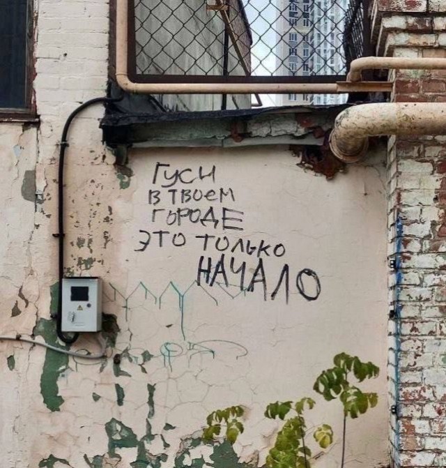 Гусиная тема