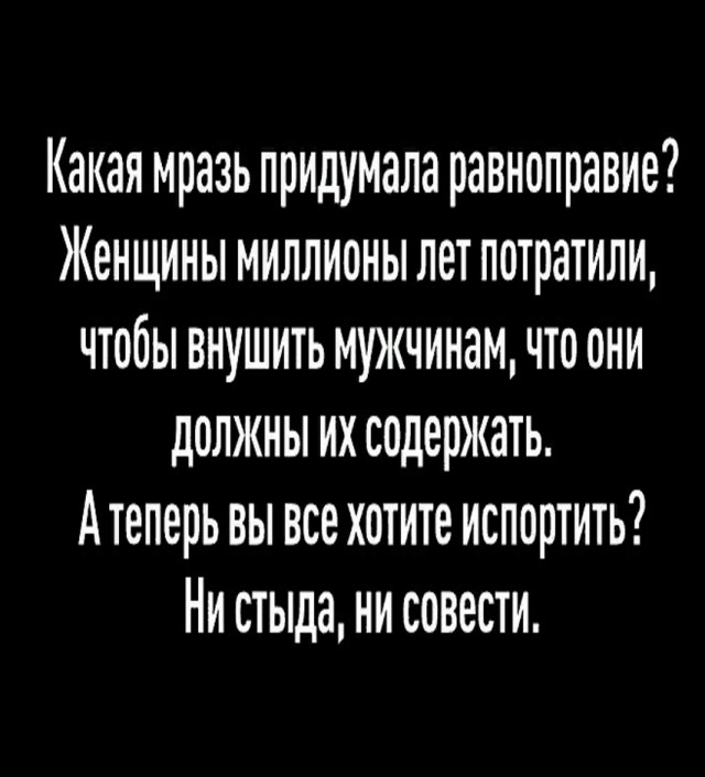 Так себе картинки 28.07.25