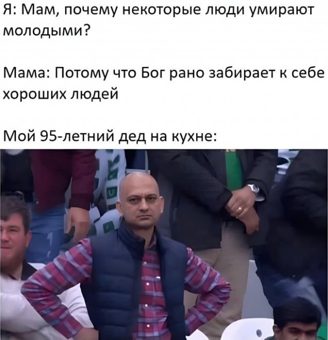 Веселые картинки в пятницу (15.08)