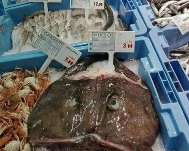 Суровый маркетинг