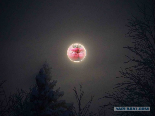 Заснял Луну с балкона