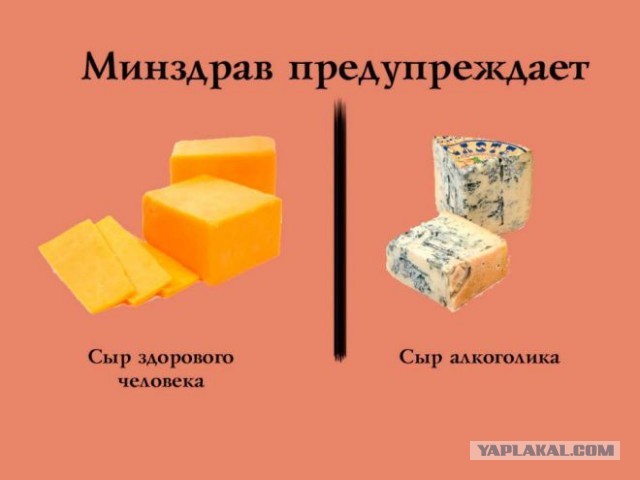 Диетологи-сырологи  назвали самые полезные сыры для здоровья — Чеддер, Камамбер, Бри и Фета.