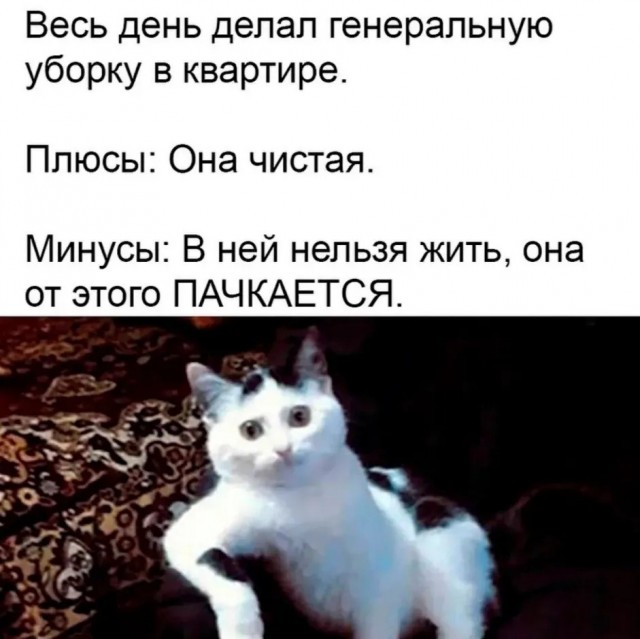 Ассорти картинок