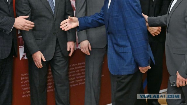 С какими рейтингами партии входят в думскую кампанию