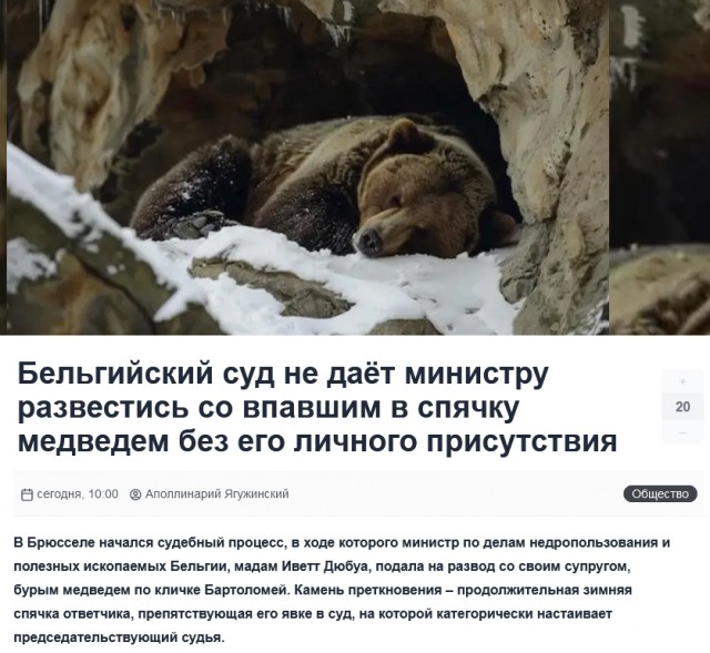 В Швеции теперь нельзя оставлять котов одних на весь день