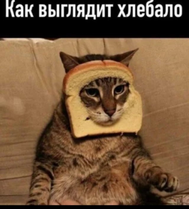 Пост о *непечатно*