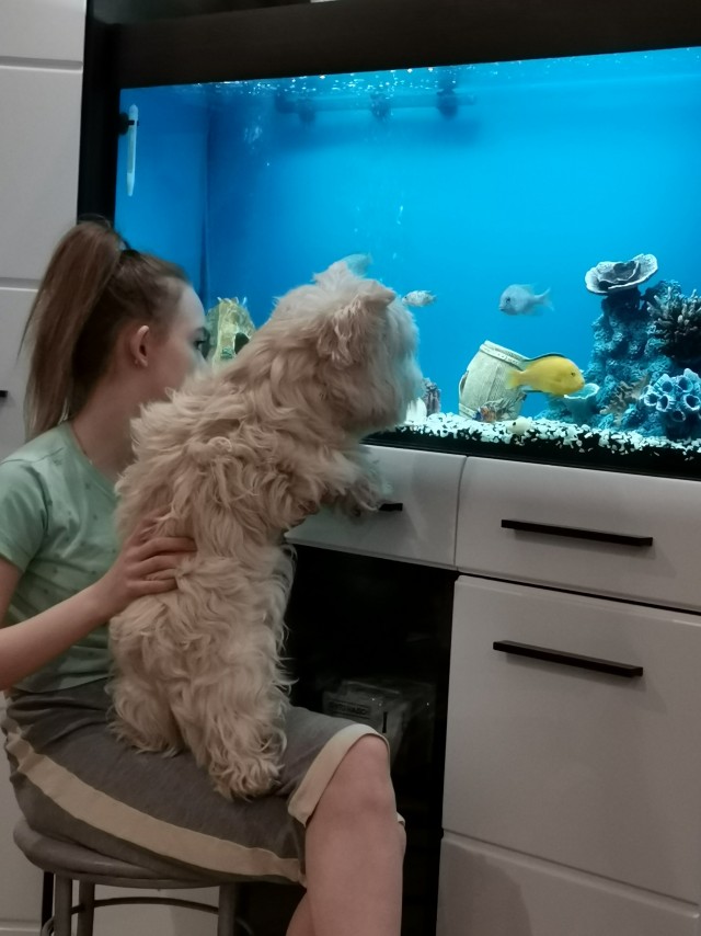 С Днем Аквариумиста!