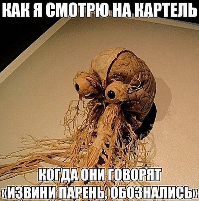 Деградация