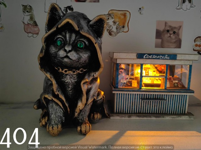 Жизнь домашнего приюта "Котоленд" 549