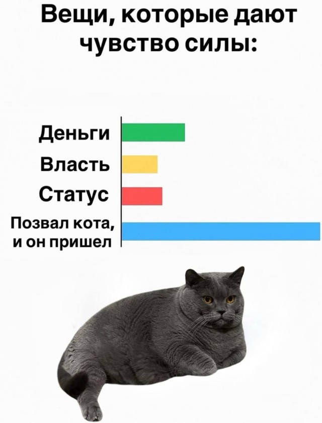 Подборка картинок к котовторнику